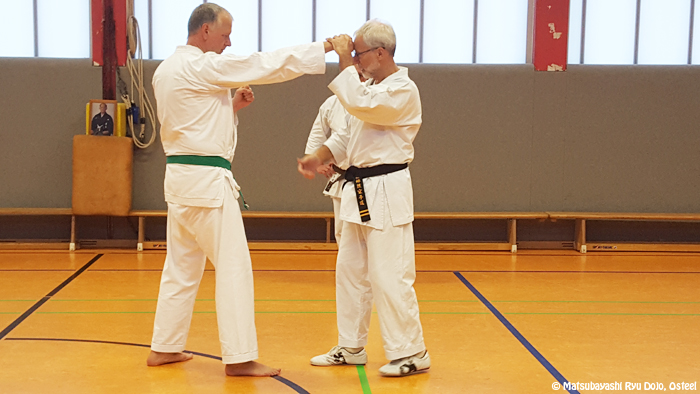 Kataanwendung mit Faustschlag