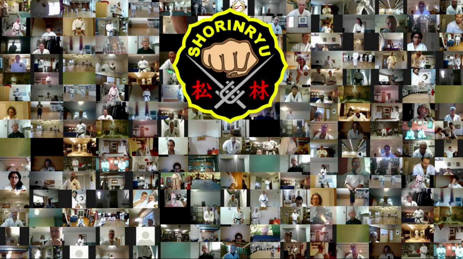 Karatekas beim weltweiten Online Seminar der WMKA